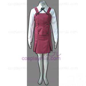 Hidamari Sketch Yamabuki School Girl Uniform Cosplay kostyme