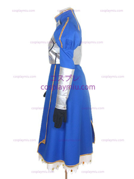 Full Set Of Armor Fate / Stay Night Saber Cosplay Kostymer