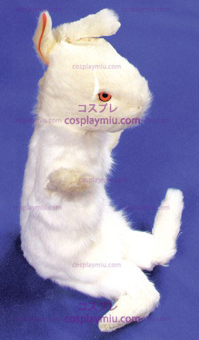 Rabbit Professional Ekte Fur