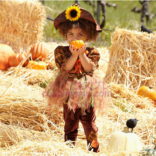 Speide Scarecrow Infant / Toddler Kostymer