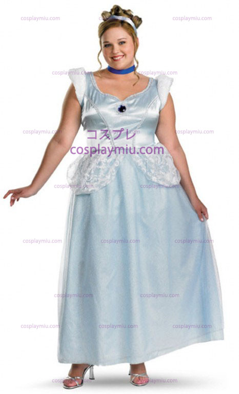 Plus Size Voksen Cinderella Kostymer
